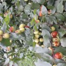 절골농장 이미지