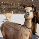 밀양대공원로 이미지