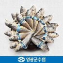 영광냉동 이미지