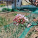 성자골3 이미지