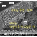 메카닉모터스 이미지