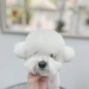 슈멍드아 이미지