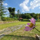 고양시 동물보호센터 이미지