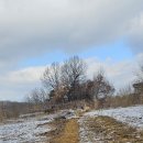 상모농장 이미지