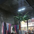 개성세탁소 이미지