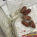 부평공원1 이미지