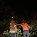 중부소방서 성남119안전센터 이미지