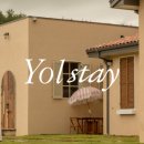 스테이 그로브 이미지