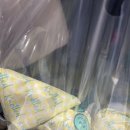 도서관에 간 북튜버 이미지