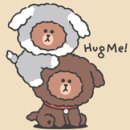 브라운퍼피 이미지