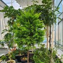 골드농장 이미지