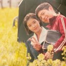 주연이네감귤밭 | 박보검이 보여준 제주청춘 이야기 총정리 /1~12화 후기 (정주행추천/넷플정주행/감동드라마/제주도...