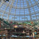 스플래시리조트 이미지