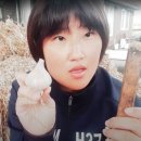 비나리농원
