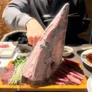 초밥대통령전주하가점 | [전주 진북동] 전주 터미널근처 참치 맛집 "달빛참치" 후기🌙