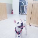 개도만족 이미지