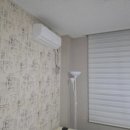 두바이애견풀빌라2