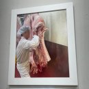 돈돼지복돼지 이미지