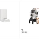 도그캣
