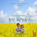 충효 태권도장 이미지