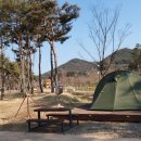 삼강나루캠핑장 이미지