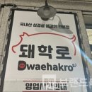 돼학로