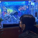 2023년의 25살 후기