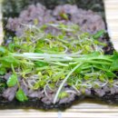 새싹꼬마김밥 - 천안시 동남구 중앙로 262 | 새싹꼬마김밥