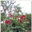 송현여자고등학교 이미지