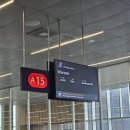 '1-10 | 바르사바 공항 LOT항공 환승 경유 1시간10분 성공 후기