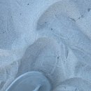 보들농장 이미지