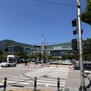 부산 센텀시티 맛집 금수복국 센텀점 후기