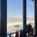 조개88 | [오이도 조개구이 맛집] 조개 88 오이도본점 내돈내산 후기