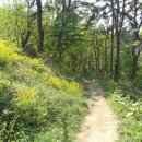 학리입구 이미지