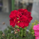 시립서부노인전문요양센터 | #시립서부노인전문요양센터 최우수 A등급