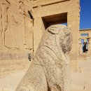 하이몽몽 이미지