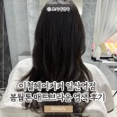이철헤어커커일산역점 | 일산미용실 추천 이철헤어커커 일산역점 봄 웜톤 매트 브라운 염색 후기
