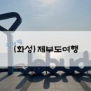 할리베어(HOLLY BEAR)