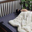 AI 온도조절 셀리온카본매트 전자파없는 호주산 양모 탄소 온열매트 후기