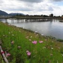 성천농장 이미지