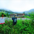 위양지 관광농원 이미지