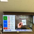 적성도로 옆 | 대전 운전면허증 적성검사 갱신 후기 (feat. 필요준비물, 위치, 주차)