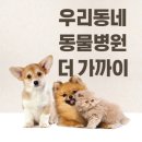 고려동물병원 미용실 이미지