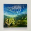 더화이트 이미지