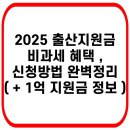 출산지원금 혜택때문에 한시름 덜었습니다 ㅠㅠ 확인하시고 꼭 지원금 받으세요 ^^ 이미지