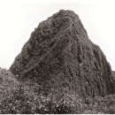 이지송 개인전 이미지