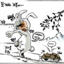 토끼와거북이