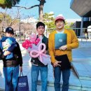 광고로 재미있게 배우는 보험 이미지