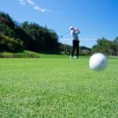 TOP실내골프연습장 이미지