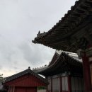 창경궁 홍화문 옆 | 창경궁, 서울 여행지 궁궐 산책 코스 추천 고궁 춘당지 대온실까지